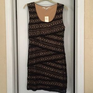 Maxx Studio lined black dress NWT